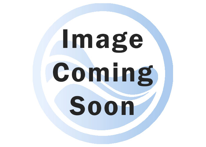 2011 ESP Code 2020 Edition Spanish E-Reader